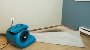 Wet Basement Repair Maryland