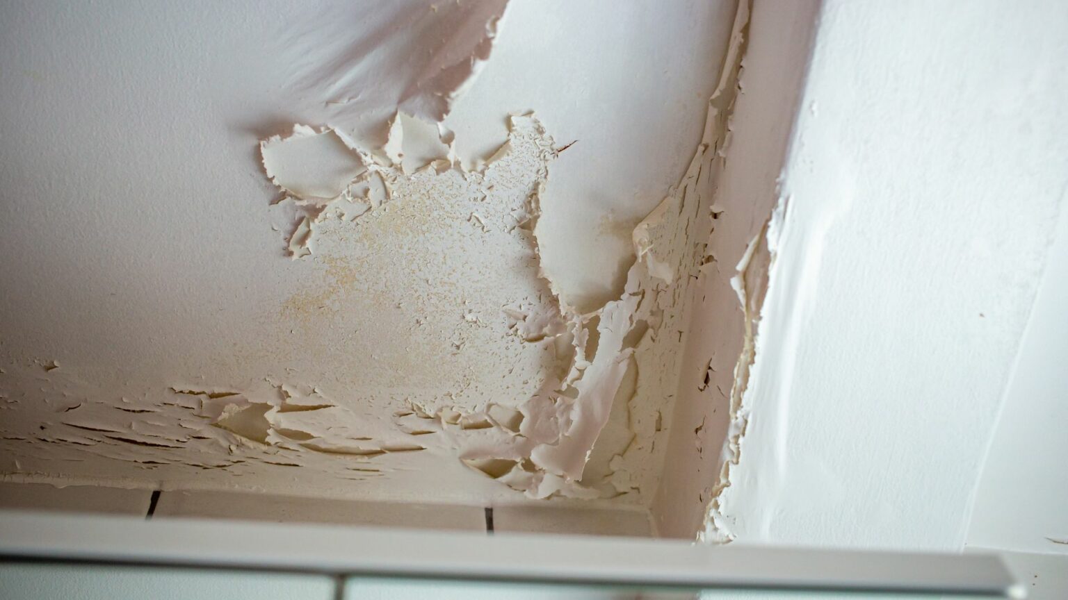 Telltale Signs of a Wet Basement Drainage & Erosion Solutions