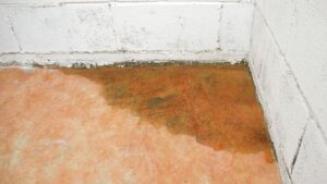 basement drainage solution McLean VA